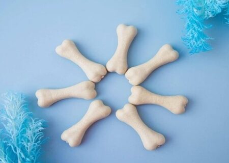 اجرای برنامه ملی کنترل پوکی استخوان در ۵ دانشگاه علوم پزشکی کشور