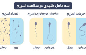 درمان خانگی اسپرم ضعیف با بررسی دقیق مطالعات علمی