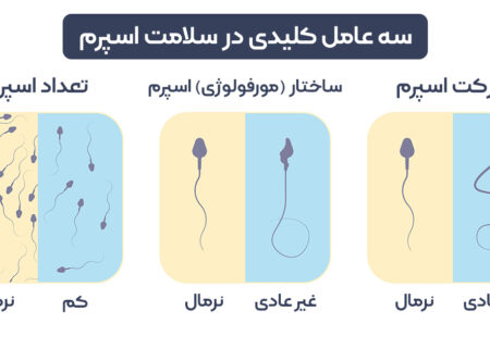 درمان خانگی اسپرم ضعیف با بررسی دقیق مطالعات علمی