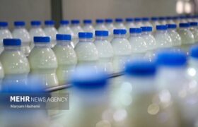 ردپای «لبنیات» در افزایش بار بیماری استخوان شکن!