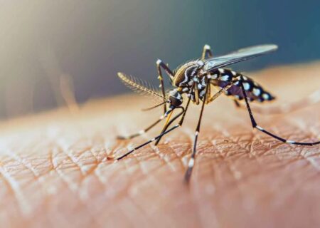 شیوع هشداردهنده یک بیماری خطرناک در این استان/ تعداد مبتلایان به ۷۰ نفر رسید