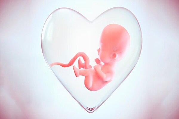 قند و شیرینی‌جات باعث وزن‌گیری سالم جنین نمی‌شوند