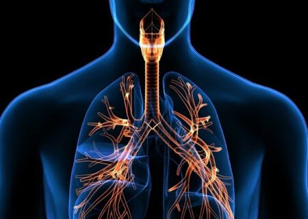 ۵ تمرین برای تقویت ریه