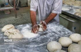 توصیه به پرهیز از افزودنی‌های غیرمجاز در نانوایی