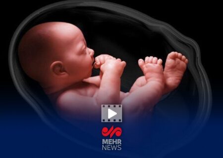 طرح نفس؛ ۱۵هزار جنین که قرار بود نباشند، اکنون در مرحله بارداری هستند