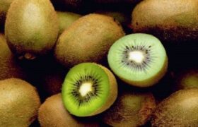 میوه‌ای برای بهبود یبوست