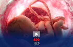 کاهش چشمگیر آمار سقط جنین در کشور با اجرای طرح «نفس»