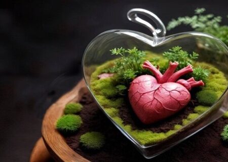 ۱۲۰۰ اهدای عضو و ۱۰۰۰ پیوند موفق در سال ۱۴۰۳ ثبت شد