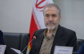 ذوالفقاری: ایران برای تأمین نیاز دارویی خود نیازی به کشت خشخاش ندارد