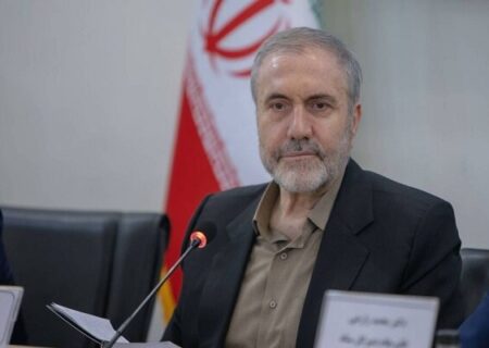 ذوالفقاری: ایران برای تأمین نیاز دارویی خود نیازی به کشت خشخاش ندارد