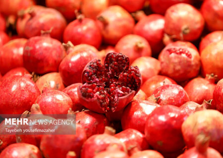 شب یلدا را هوشمندانه بگذرانیم؛ نه پرخوری، نه حذف دورهمی