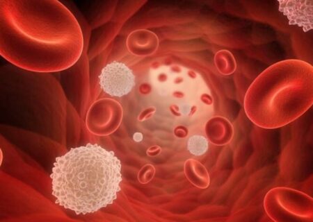 افت گلبول سفید خون، زنگ خطر سلامت بدن