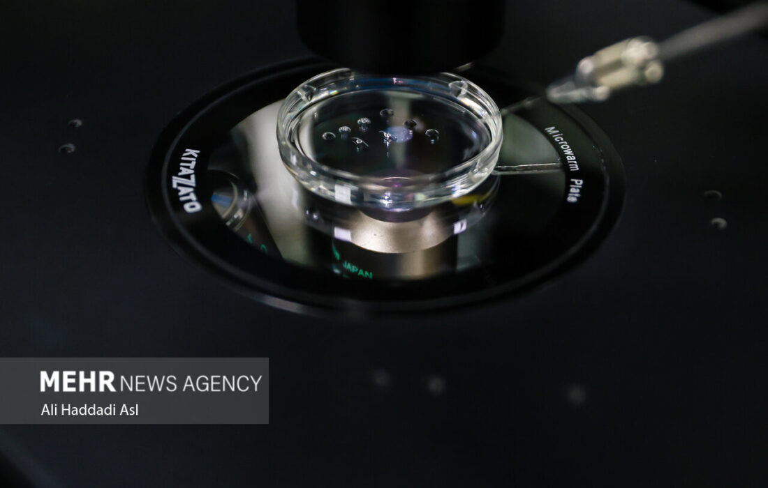 فریز و تعیین جنسیت جنین، راهکاری برای باروری هدفمند