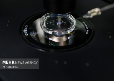 فریز و تعیین جنسیت جنین، راهکاری برای باروری هدفمند