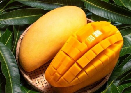 میوه‌ای برای حفظ وزن و کنترل قند خون