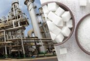 پاسخ سازمان غذا و دارو به فرایند تولید قند و شکر