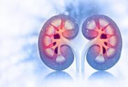داروی دیابت روند پیری کلیه را کُند می‌کند