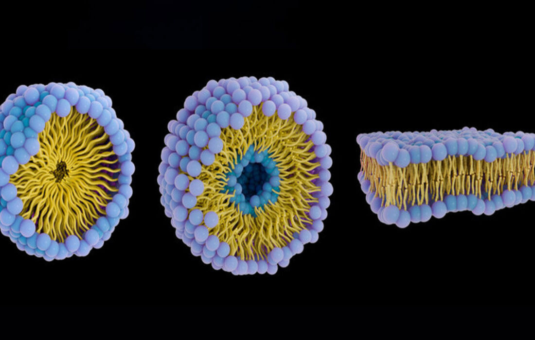 زیردریایی‌های پروتئینی علیه سرطان؛ دارورسانی هوشمند بدون عوارض گسترده