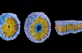 زیردریایی‌های پروتئینی علیه سرطان؛ دارورسانی هوشمند بدون عوارض گسترده