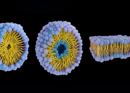 زیردریایی‌های پروتئینی علیه سرطان؛ دارورسانی هوشمند بدون عوارض گسترده