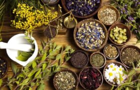 مصرف خودسرانه فرآورده‌های گیاهی خطرناک است 