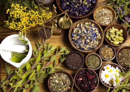 مصرف خودسرانه فرآورده‌های گیاهی خطرناک است 