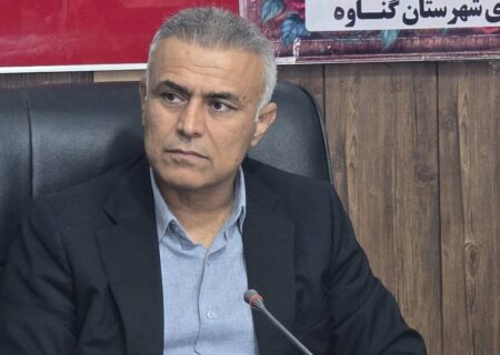 فرماندارگناوه:پرداخت تسهیلات به افرادتحت پوشش نهادهای حمایتی تسهیل شود