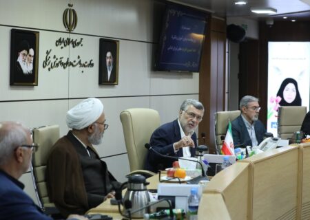 پیگیری مجلس برای شفاف‌سازی علل گرانی دارو