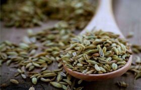 آیا «رازیانه» باعث افزایش شیرمادر می شود