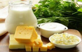 نگاه طب ایرانی به اثرات درمانی پروبیوتیک‌ها
