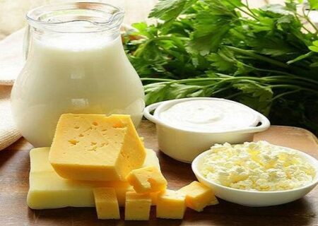نگاه طب ایرانی به اثرات درمانی پروبیوتیک‌ها